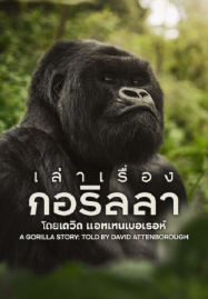 ซีรีย์เกาหลีต้องดู หนังแฟนตาซี